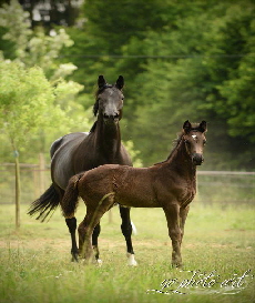 Isiria Yvonne1 Isiria Yvonne1